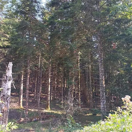 Maison Dans Village Rural
