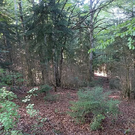 Maison Dans Village Rural بيت للعطل *