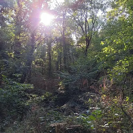 Maison Dans Village Rural Saint-Louis-et-Parahou