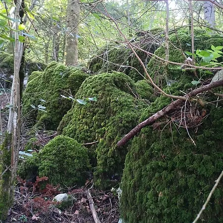 Maison Dans Village Rural * Saint-Louis-et-Parahou